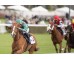  Carrera: P.Arkaitz Monta: S.Ruis Caballo: Rush in the City